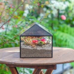 Handmade Medium House Shape Terrarium Enclosure With Mesh Vent For Insects, Terrarium Only -Glass Plant Store IMG 7187 2