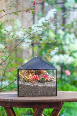 Handmade Medium House Shape Terrarium Enclosure With Mesh Vent For Insects, Terrarium Only -Glass Plant Store IMG 7188