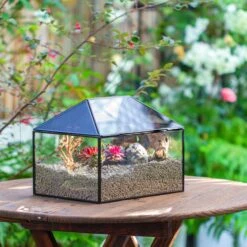 Handmade Medium House Shape Terrarium Enclosure With Mesh Vent For Insects, Terrarium Only -Glass Plant Store IMG 7190 eba1f456 db37 4066 ab19 bc01167b94c0