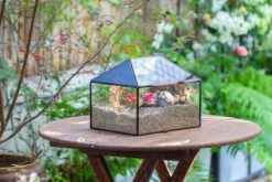Handmade Medium House Shape Terrarium Enclosure With Mesh Vent For Insects, Terrarium Only -Glass Plant Store IMG 7191 c3ae107c 48fb 43b3 8e19 81ef167b2409
