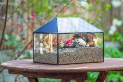Handmade Medium House Shape Terrarium Enclosure With Mesh Vent For Insects, Terrarium Only -Glass Plant Store IMG 7192 29b71cb1 e5d3 420e b21e e691c8f4ddda