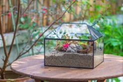 Handmade Medium House Shape Terrarium Enclosure With Mesh Vent For Insects, Terrarium Only -Glass Plant Store IMG 7194 737dd074 2e5a 4c05 bb82 409f58753d10