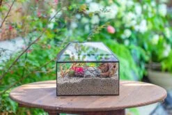 Handmade Medium House Shape Terrarium Enclosure With Mesh Vent For Insects, Terrarium Only -Glass Plant Store IMG 7196
