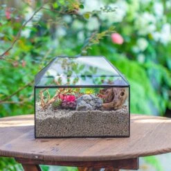 Handmade Medium House Shape Terrarium Enclosure With Mesh Vent For Insects, Terrarium Only -Glass Plant Store IMG 7197 d13fb9dd a2f8 4894 a031 b56412465e39