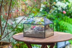Handmade Medium House Shape Terrarium Enclosure With Mesh Vent For Insects, Terrarium Only -Glass Plant Store IMG 7200 e09b0914 bb63 400b 92d7 afc29900653e