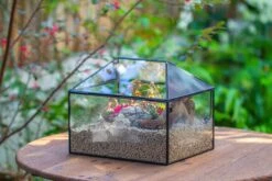 Handmade Medium House Shape Terrarium Enclosure With Mesh Vent For Insects, Terrarium Only -Glass Plant Store IMG 7201 c114637f f047 44de 8719 4720c8f96af7