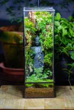 NCYP Close 11.8" Tall Geometric Glass Terrarium With Door Building DIY Set, With Buddha, Dragon Rocks, Planting Materials 36 NCYP Close 11.8" Tall Geometric Glass Terrarium With Door Building DIY Set, With Buddha, Dragon Rocks, Planting Materials -Glass Plant Store IMG 7278