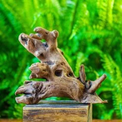 Driftwood For Moss Terrarium, Miniature, Micro Landscape, H022