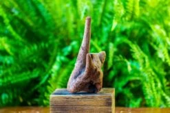Driftwood For Moss Terrarium, Miniature, Micro Landscape, H015 -Glass Plant Store IMG 7431