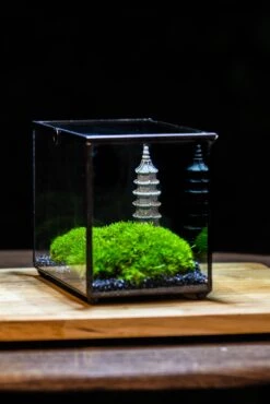 Preserved Moss Terrarium Miniature DIY Set, Japanese Zen Style, Preserved Leucobryum Moss And Pagoda, 17*10*12cm / 6.7 X 3.9 X 4.7" 38 Preserved Moss Terrarium Miniature DIY Set, Japanese Zen Style, Preserved Leucobryum Moss And Pagoda, 17*10*12cm / 6.7 X 3.9 X 4.7" -Glass Plant Store IMG 7482