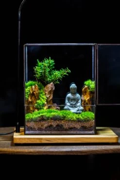 2-6" / 5-15cm Cutted Flat Bottom Natural Ohko Dragon Stone Rock For Terrarium, Aquarium Bonsai Landscape, 2kg/4.4lb, With DIY Tools 34 2-6" / 5-15cm Cutted Flat Bottom Natural Ohko Dragon Stone Rock For Terrarium, Aquarium Bonsai Landscape, 2kg/4.4lb, With DIY Tools -Glass Plant Store IMG 7505