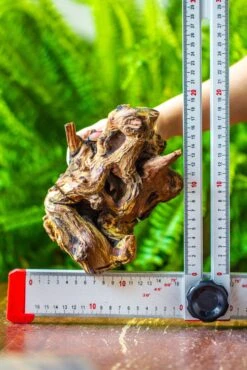 Driftwood For Moss Terrarium, Miniature, Micro Landscape, H005 -Glass Plant Store IMG 7535