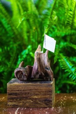 Driftwood For Moss Terrarium, Miniature, Micro Landscape, 7023 -Glass Plant Store IMG 7549