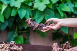 Natural Driftwood Roots Bag For Moss Terrarium Succulents Air Plants Reptile Miniature Habitat 17 Natural Driftwood Roots Bag For Moss Terrarium Succulents Air Plants Reptile Miniature Habitat -Glass Plant Store IMG 7574