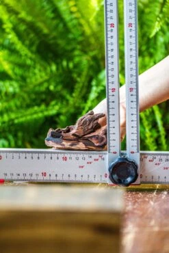 Driftwood For Moss Terrarium, Miniature, Micro Landscape, 7034 -Glass Plant Store IMG 7602 3b358981 db37 4d43 bac2 eb8f5c836c36