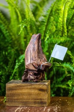 Driftwood For Moss Terrarium, Miniature, Micro Landscape, 7047 -Glass Plant Store IMG 7610 13877d49 72be 4bf9 ba56 f71bbb402acb