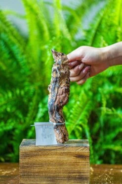 Driftwood For Moss Terrarium, Miniature, Micro Landscape, 7029 -Glass Plant Store IMG 7630 eb7a9bc3 7c51 4d3f 81c1 2a8259b0a18d