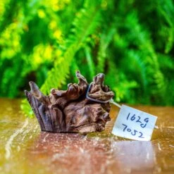 Driftwood For Moss Terrarium, Miniature, Micro Landscape, 7052