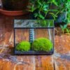 Preserved Moss Terrarium Miniature DIY Set, Japanese Zen Style, Preserved Leucobryum Moss And Pagoda, 17*10*12cm / 6.7 X 3.9 X 4.7"