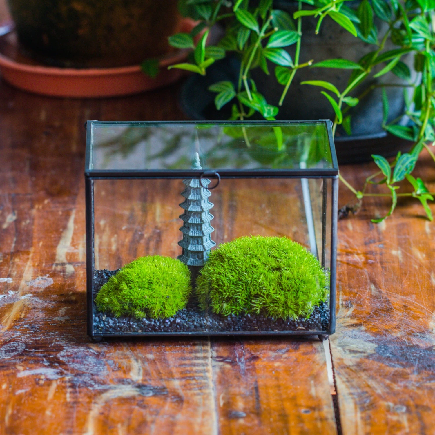 Preserved Moss Terrarium Miniature DIY Set, Japanese Zen Style, Preserved Leucobryum Moss And Pagoda, 17*10*12cm / 6.7 X 3.9 X 4.7" 1 Preserved Moss Terrarium Miniature DIY Set, Japanese Zen Style, Preserved Leucobryum Moss And Pagoda, 17*10*12cm / 6.7 X 3.9 X 4.7"