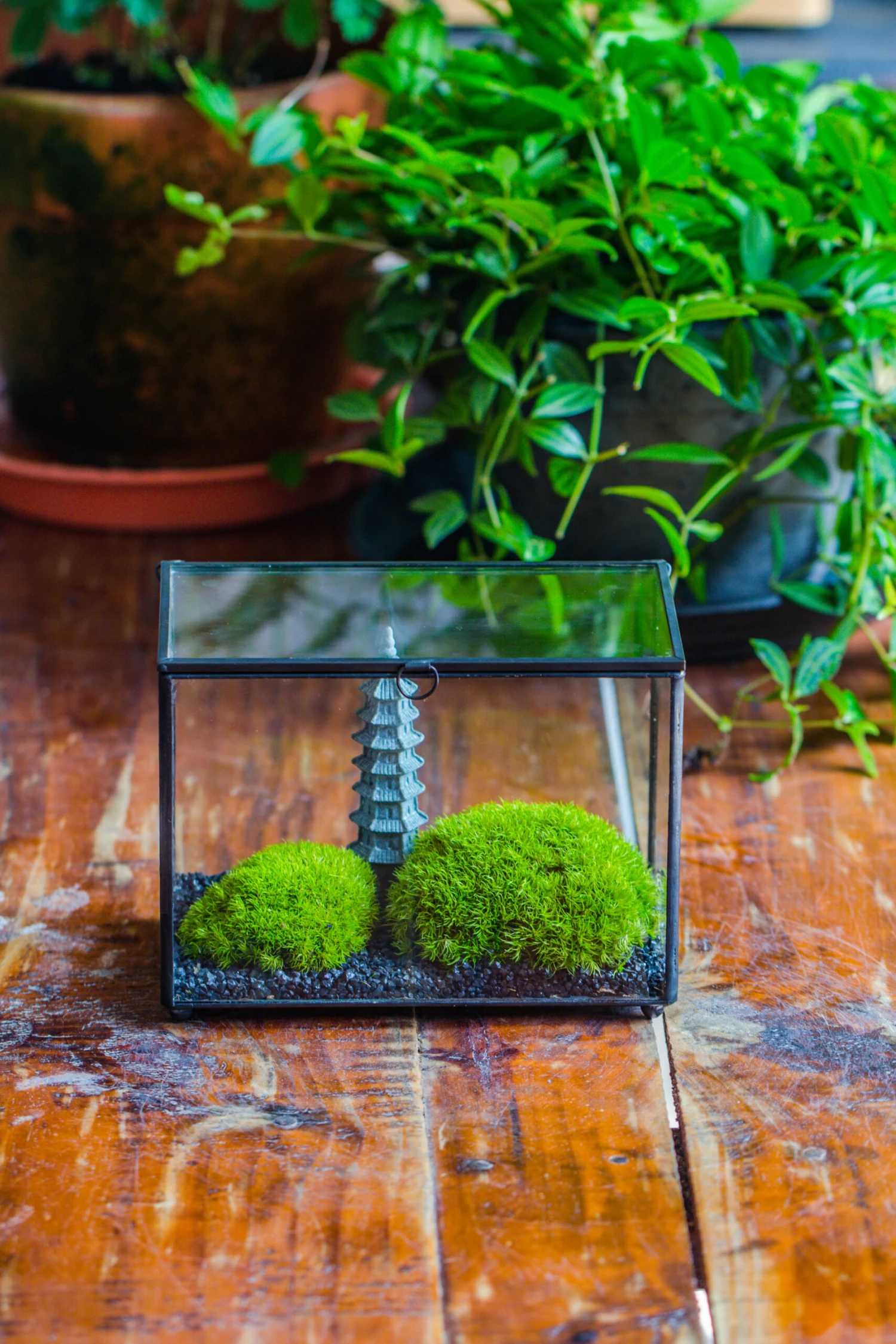 Preserved Moss Terrarium Miniature DIY Set, Japanese Zen Style, Preserved Leucobryum Moss And Pagoda, 17*10*12cm / 6.7 X 3.9 X 4.7" 3 Preserved Moss Terrarium Miniature DIY Set, Japanese Zen Style, Preserved Leucobryum Moss And Pagoda, 17*10*12cm / 6.7 X 3.9 X 4.7" - Image 3