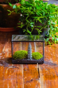 Preserved Moss Terrarium Miniature DIY Set, Japanese Zen Style, Preserved Leucobryum Moss And Pagoda, 17*10*12cm / 6.7 X 3.9 X 4.7" 27 Preserved Moss Terrarium Miniature DIY Set, Japanese Zen Style, Preserved Leucobryum Moss And Pagoda, 17*10*12cm / 6.7 X 3.9 X 4.7" -Glass Plant Store IMG 7770 2