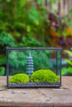 Preserved Moss Terrarium Miniature DIY Set, Japanese Zen Style, Preserved Leucobryum Moss And Pagoda, 17*10*12cm / 6.7 X 3.9 X 4.7" 35 Preserved Moss Terrarium Miniature DIY Set, Japanese Zen Style, Preserved Leucobryum Moss And Pagoda, 17*10*12cm / 6.7 X 3.9 X 4.7" -Glass Plant Store IMG 7785