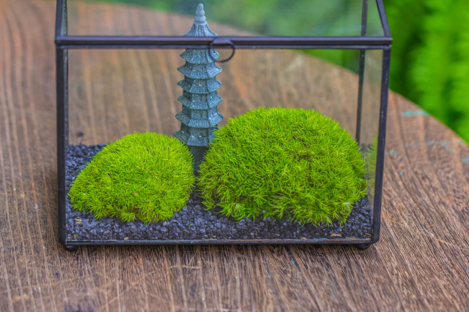 Preserved Moss Terrarium Miniature DIY Set, Japanese Zen Style, Preserved Leucobryum Moss And Pagoda, 17*10*12cm / 6.7 X 3.9 X 4.7" 14 Preserved Moss Terrarium Miniature DIY Set, Japanese Zen Style, Preserved Leucobryum Moss And Pagoda, 17*10*12cm / 6.7 X 3.9 X 4.7" - Image 14