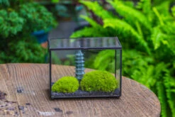 Preserved Moss Terrarium Miniature DIY Set, Japanese Zen Style, Preserved Leucobryum Moss And Pagoda, 17*10*12cm / 6.7 X 3.9 X 4.7" 34 Preserved Moss Terrarium Miniature DIY Set, Japanese Zen Style, Preserved Leucobryum Moss And Pagoda, 17*10*12cm / 6.7 X 3.9 X 4.7" -Glass Plant Store IMG 7788