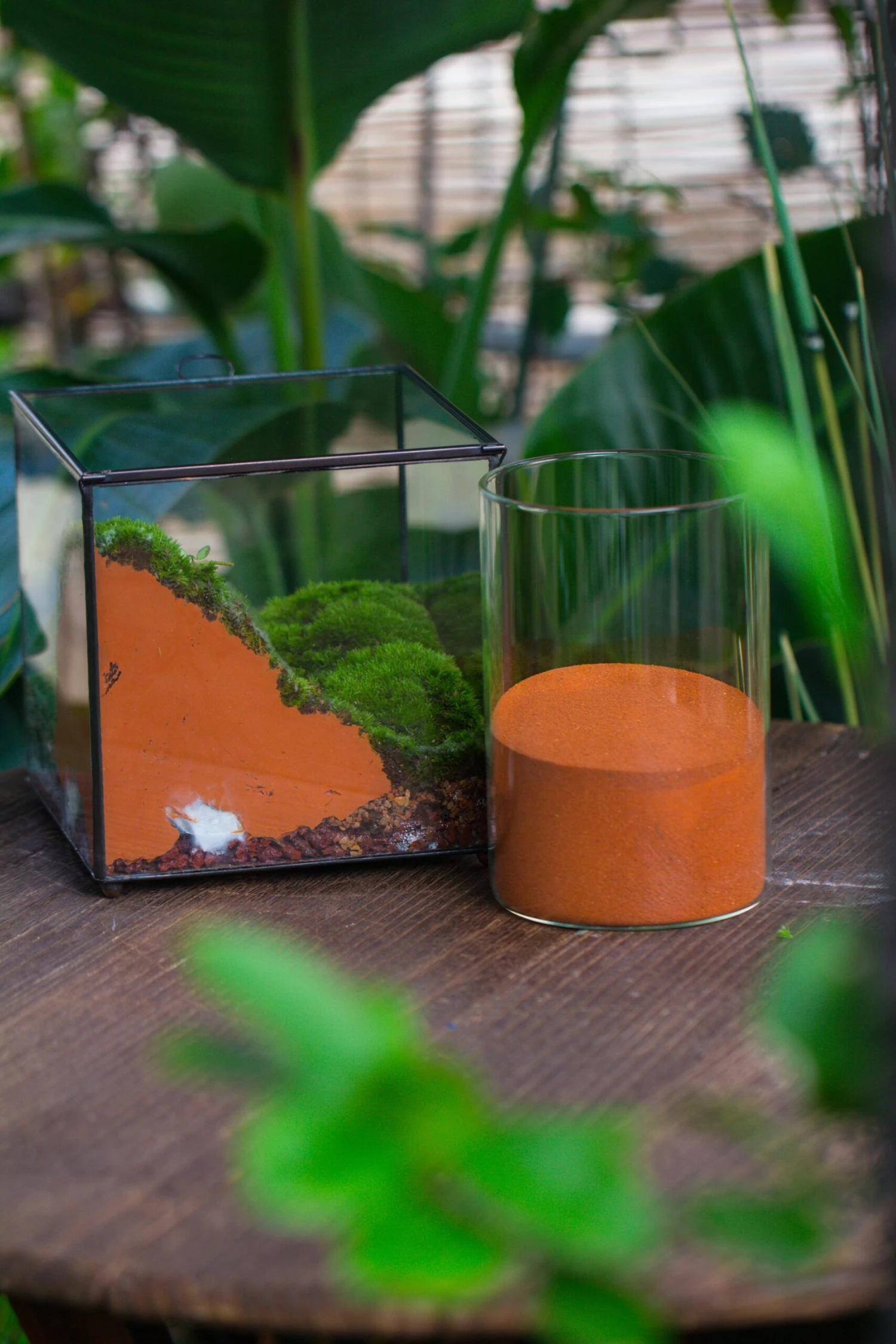 Rain Forest Sticky Red Clay For DIY Moss Wall, Plant Moss / Plants On The Wall, Vertical Landscape, Vivarium, Terrarium 6 Rain Forest Sticky Red Clay For DIY Moss Wall, Plant Moss / Plants On The Wall, Vertical Landscape, Vivarium, Terrarium - Image 6