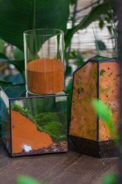 Rain Forest Sticky Red Clay For DIY Moss Wall, Plant Moss / Plants On The Wall, Vertical Landscape, Vivarium, Terrarium 18 Rain Forest Sticky Red Clay For DIY Moss Wall, Plant Moss / Plants On The Wall, Vertical Landscape, Vivarium, Terrarium -Glass Plant Store IMG 7935
