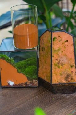 Rain Forest Sticky Red Clay For DIY Moss Wall, Plant Moss / Plants On The Wall, Vertical Landscape, Vivarium, Terrarium 19 Rain Forest Sticky Red Clay For DIY Moss Wall, Plant Moss / Plants On The Wall, Vertical Landscape, Vivarium, Terrarium -Glass Plant Store IMG 7936