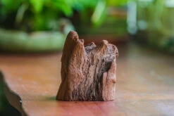 Natural Driftwood For Moss Terrarium, Miniature, Micro Landscape, Unique 10-26, Suitable For Both Live And Preserved Moss 8 Natural Driftwood For Moss Terrarium, Miniature, Micro Landscape, Unique 10-26, Suitable For Both Live And Preserved Moss -Glass Plant Store IMG 7980