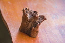 Natural Driftwood For Moss Terrarium, Miniature, Micro Landscape, Unique 10-26, Suitable For Both Live And Preserved Moss 7 Natural Driftwood For Moss Terrarium, Miniature, Micro Landscape, Unique 10-26, Suitable For Both Live And Preserved Moss -Glass Plant Store IMG 7982