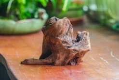 Natural Driftwood For Moss Terrarium, Miniature, Micro Landscape, Unique 10-11, Suitable For Both Live And Preserved Moss 10 Natural Driftwood For Moss Terrarium, Miniature, Micro Landscape, Unique 10-11, Suitable For Both Live And Preserved Moss -Glass Plant Store IMG 8013