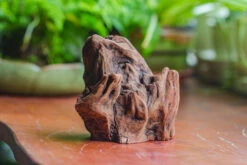 Natural Driftwood For Moss Terrarium, Miniature, Micro Landscape, Unique 10-11, Suitable For Both Live And Preserved Moss 12 Natural Driftwood For Moss Terrarium, Miniature, Micro Landscape, Unique 10-11, Suitable For Both Live And Preserved Moss -Glass Plant Store IMG 8015