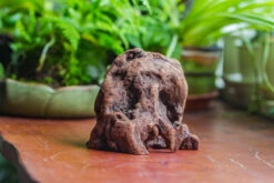 Natural Driftwood For Moss Terrarium, Miniature, Micro Landscape, Unique 10-30, Suitable For Both Live And Preserved Moss 10 Natural Driftwood For Moss Terrarium, Miniature, Micro Landscape, Unique 10-30, Suitable For Both Live And Preserved Moss -Glass Plant Store IMG 8021