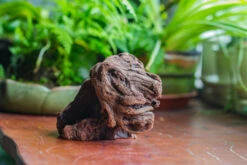 Natural Driftwood For Moss Terrarium, Miniature, Micro Landscape, Unique 10-30, Suitable For Both Live And Preserved Moss 12 Natural Driftwood For Moss Terrarium, Miniature, Micro Landscape, Unique 10-30, Suitable For Both Live And Preserved Moss -Glass Plant Store IMG 8023