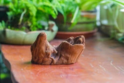 Natural Driftwood For Moss Terrarium, Miniature, Micro Landscape, Unique 10-38, Suitable For Both Live And Preserved Moss 7 Natural Driftwood For Moss Terrarium, Miniature, Micro Landscape, Unique 10-38, Suitable For Both Live And Preserved Moss -Glass Plant Store IMG 8028