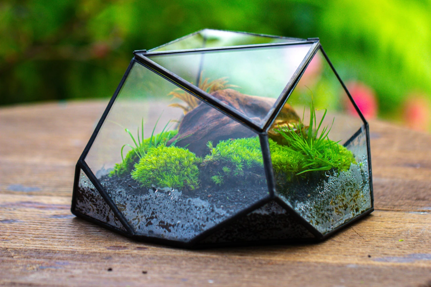 Geometric Terrarium Irregular, Handmade,Tin And Glass 7 Geometric Terrarium Irregular, Handmade,Tin And Glass - Image 7