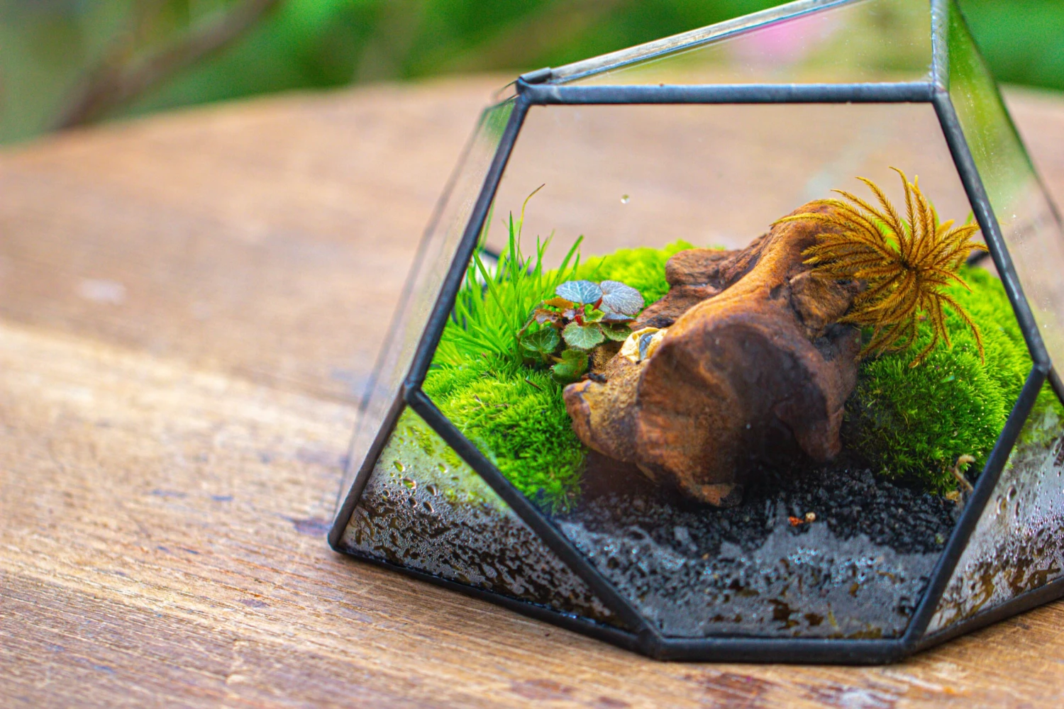 Geometric Terrarium Irregular, Handmade,Tin And Glass 14 Geometric Terrarium Irregular, Handmade,Tin And Glass - Image 14