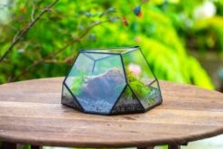 Geometric Terrarium Irregular, Handmade,Tin And Glass 36 Geometric Terrarium Irregular, Handmade,Tin And Glass -Glass Plant Store IMG 8065 40b0815e 6eed 4c27 a913 56b447504374
