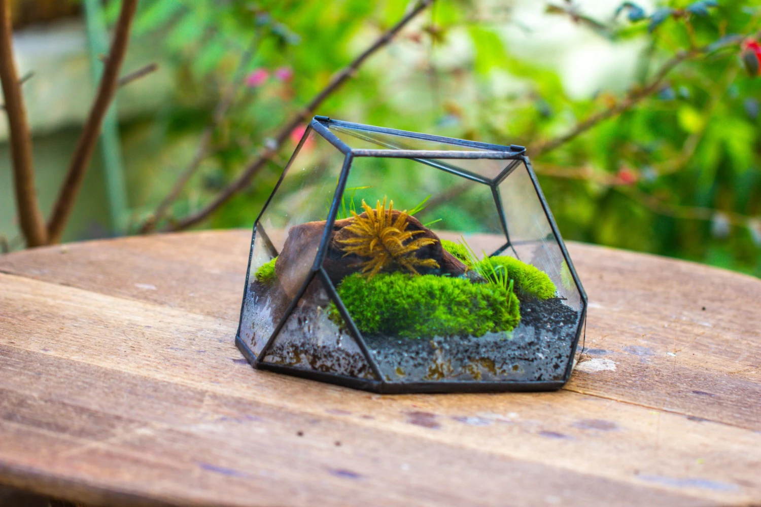 Geometric Terrarium Irregular, Handmade,Tin And Glass 18 Geometric Terrarium Irregular, Handmade,Tin And Glass - Image 18