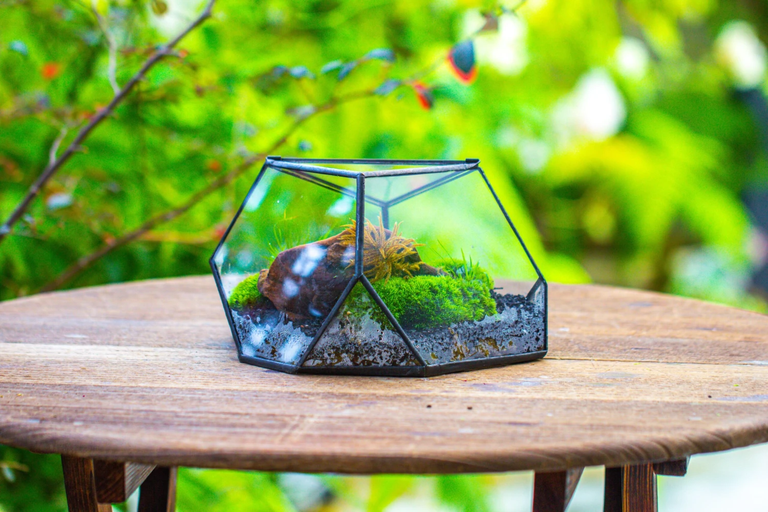 Geometric Terrarium Irregular, Handmade,Tin And Glass 19 Geometric Terrarium Irregular, Handmade,Tin And Glass - Image 19