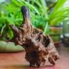 Natural Driftwood For Moss Terrarium, Miniature, Micro Landscape, Unique 10-7, Suitable For Both Live And Preserved Moss