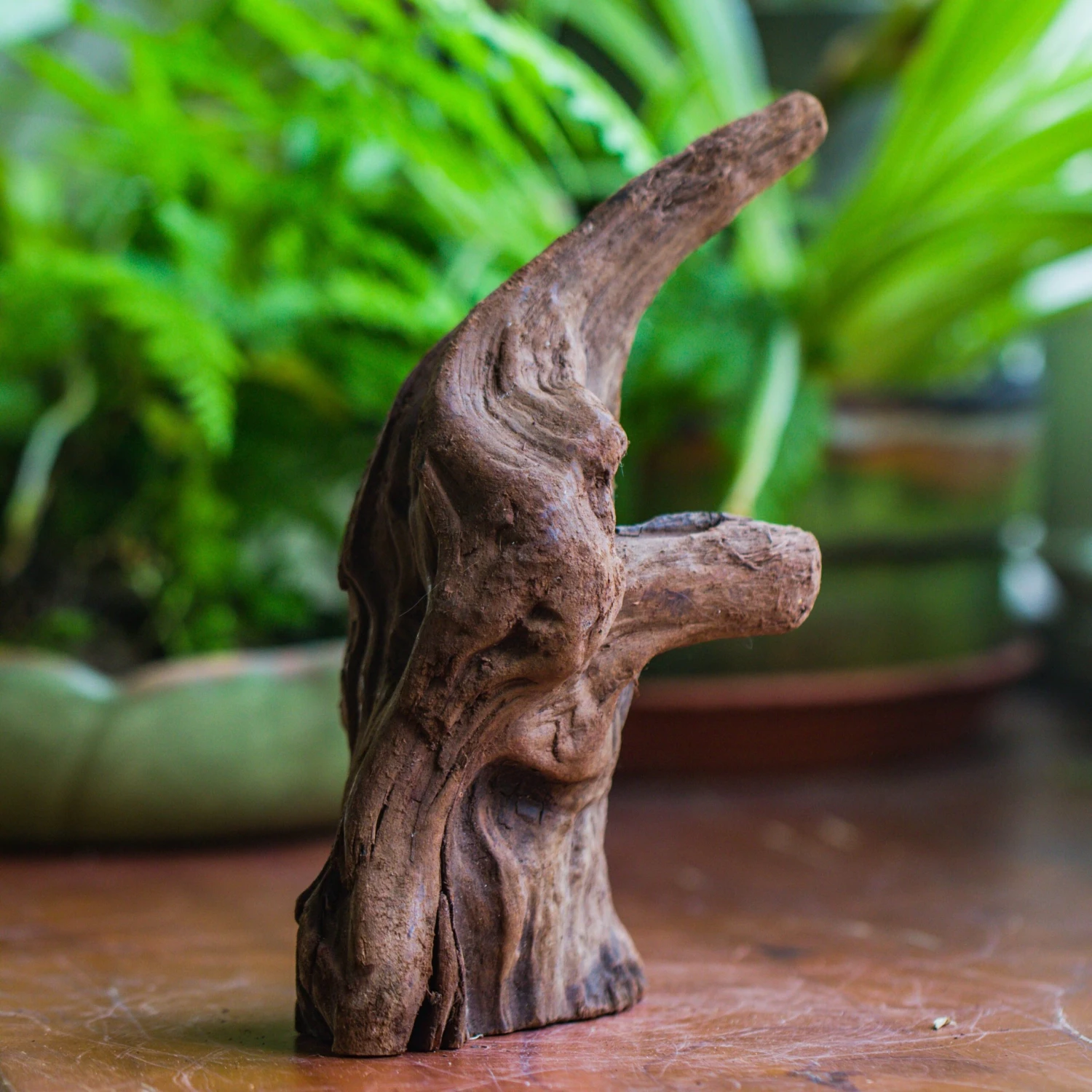 Natural Driftwood For Moss Terrarium, Miniature, Micro Landscape, Unique 10-6, Suitable For Both Live And Preserved Moss 2 Natural Driftwood For Moss Terrarium, Miniature, Micro Landscape, Unique 10-6, Suitable For Both Live And Preserved Moss - Image 2