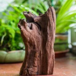 Natural Driftwood For Moss Terrarium, Miniature, Micro Landscape, Unique 10-22, Suitable For Both Live And Preserved Moss