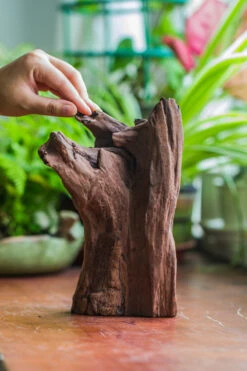 Natural Driftwood For Moss Terrarium, Miniature, Micro Landscape, Unique 10-22, Suitable For Both Live And Preserved Moss 11 Natural Driftwood For Moss Terrarium, Miniature, Micro Landscape, Unique 10-22, Suitable For Both Live And Preserved Moss -Glass Plant Store IMG 8148 bef8587a 06ad 4682 a885 47a8c3747224