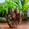 Natural Driftwood For Moss Terrarium, Miniature, Micro Landscape, Unique 10-17, Suitable For Both Live And Preserved Moss