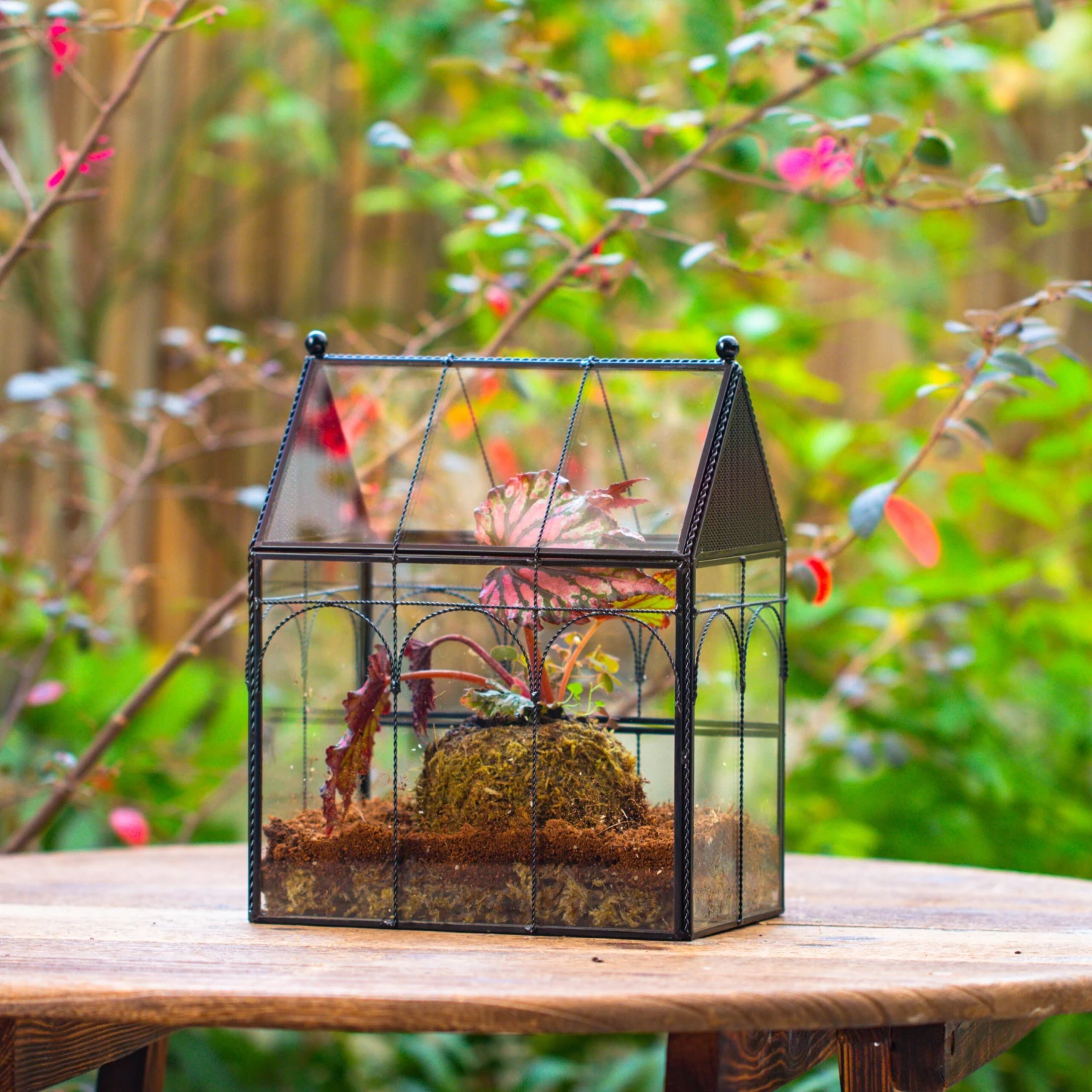 NCYP Vintage House Shape Glass Geometric Terrarium, With Side Door, With Mesh Vent Holes For Small Insects Pet 2 NCYP Vintage House Shape Glass Geometric Terrarium, With Side Door, With Mesh Vent Holes For Small Insects Pet - Image 2